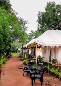 un grupo de sillas sentadas frente a una tienda en Adventure Camping, en Pachmarhī