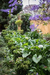 un jardín lleno de plantas y flores en Godiva Spa & Guesthouse en Groblersdal