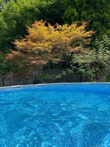 Bazén v ubytování Holiday Home Oaza Mira nebo v jeho okolí + 29 fotografií