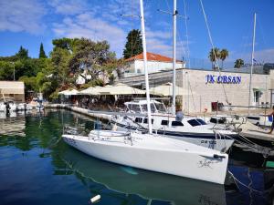 Příroda nedaleko apartmánu