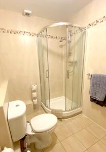 a bathroom with a shower and a toilet and a sink at Latin Quarter Luxury Apartment in Galway