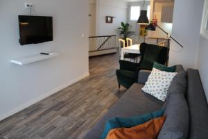 sala de estar con sofá y TV de pantalla plana en LL Picaria 16, en Oporto