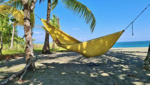 un hamac jaune suspendu à un palmier sur une plage dans l'établissement Casa Punta Preciosa, à Puerto Jiménez 28 autres photos