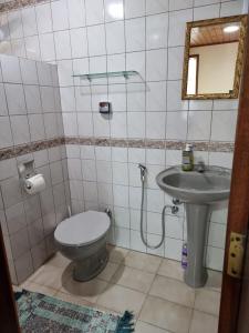 ein Bad mit einem WC und einem Waschbecken in der Unterkunft Chalés Palmeira Azul in Visconde De Maua