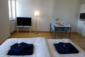 Galeriebild der Unterkunft Studio-Apartment between Schoenbrunn & the City Center (28) in Wien