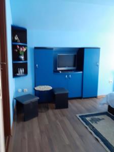 a blue living room with a blue wall at Casa Spilt in Borşa