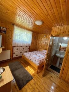 ein Schlafzimmer mit einem Bett und einem Waschbecken in einem Zimmer in der Unterkunft Vila Maria Dambovicioara in Dâmbovicioara