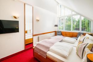 TV a/nebo společenská místnost v ubytování Hotel Blumlage