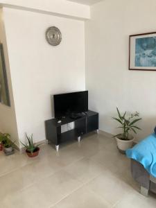 a living room with a flat screen tv on a wall at T3 Centre Ville Neuve in Tarbes
