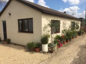 a house with potted plants on the side of it at Stone Cottage in Nazeing