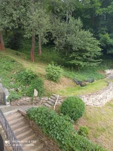 a set of stairs in a garden with trees at Apartamenty Krynica - ul. Podgórna in Krynica Zdrój