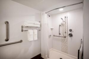 uma casa de banho com um chuveiro e uma cortina de chuveiro em Crowne Plaza Albany - The Desmond Hotel em Albany