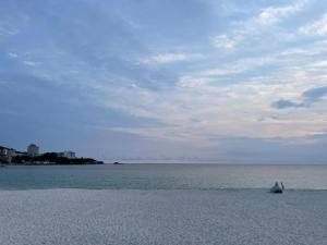 una persona sta volando un aquilone sulla spiaggia di Iso Tokei - Vacation STAY 61898v a Kanayama