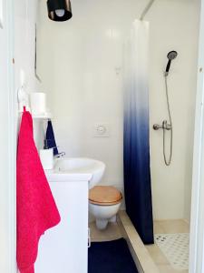 uma casa de banho com um lavatório, um WC e um chuveiro em Apartamenty Amarel - Wilk Morski em Stegna