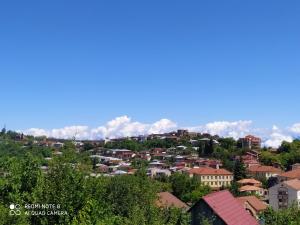Uma vista geral da montanha ou uma vista da montanha a partir da casa de hóspedes