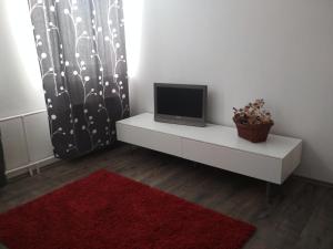 TV a/nebo společenská místnost v ubytování Apartmán Pernink - ubytování v srdci Krušných hor