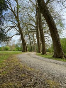 un camino de tierra con árboles a ambos lados en Château de la Coudraie, en Changé