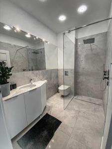 a bathroom with a shower and a sink and a toilet at NADJEZIORNA LUX 1 in Ełk