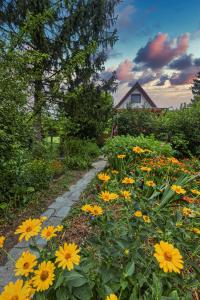 un jardín con flores amarillas frente a una casa en FAnima vendégház, en Kismaros