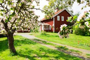 Zahrada ubytování Lilla Sörgården