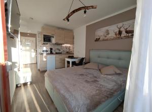 une chambre avec un grand lit et une cuisine dans l'établissement Studio 20qm mit Balkon und Innenpool - 22010, à Schluchsee