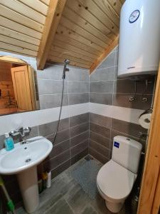 a bathroom with a toilet and a sink at Guest house Green Garden in Mojkovac