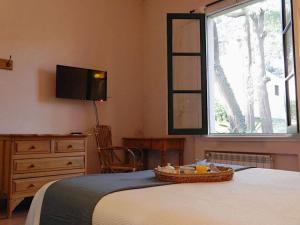 a bedroom with a bed and a tv and a window at Casa de Campo Las Acacias in Tandil