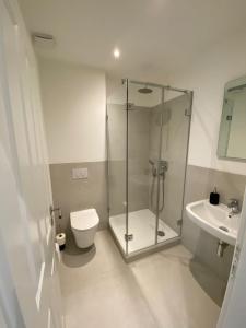 a bathroom with a shower and a toilet and a sink at Ferienwohnung Pelzerhaken in Pelzerhaken