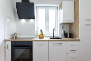 Kuchyň nebo kuchyňský kout v ubytování Apartment Maestral