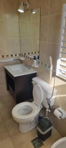 een badkamer met een toilet, een wastafel en een spiegel bij Departamento en San Juan, Argentina in San Juan