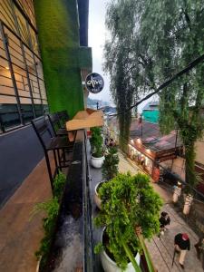un balcone di un edificio con piante in vaso di Olive By Tej Hotel And Resorts a Darjeeling