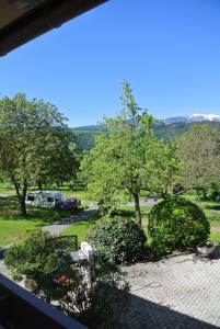 Blick auf einen Park mit Bäumen und Sträuchern in der Unterkunft Landhaus Neubauer - Zimmer in Millstatt