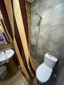 een badkamer met een toilet, een douche en een wastafel bij У Поттера in Kalichanka