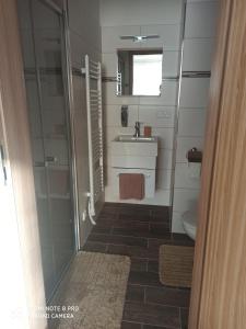 a bathroom with a shower and a sink and a toilet at Familly Apartmens in Dolní Dunajovice