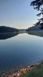 Gallery image of Guest House Milena in Žabljak +37 photos