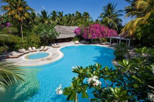 Bazén v ubytování Kuramathi Maldives nebo v jeho okolí