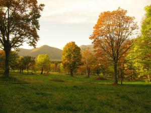 a field with trees and mountains in the background at Park Lodge Sekine in Myoko +18 photos