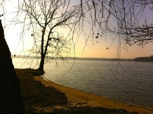 Imagem da galeria de Penzion04 em Třeboň mais 10 fotografias