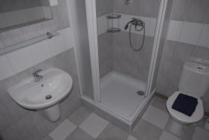 y baño con ducha, aseo y lavamanos. en Penzion04, en Třeboň