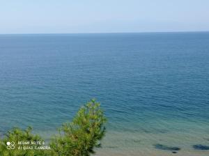 a view of the ocean with a tree in the foreground at Sunset Apartment in Epanomi