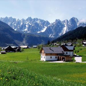 ein Haus auf einem Feld mit Bergen im Hintergrund in der Unterkunft Appartements gosaukamm.com in Gosau