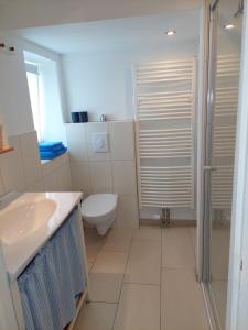 ein Bad mit einem WC, einem Waschbecken und einer Dusche in der Unterkunft Ferienwohnung Lotte in Felgentreu