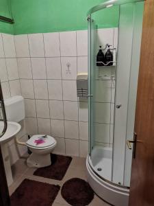 a bathroom with a shower with a toilet and a sink at Apartman Nik-Rom in Bosanska Gradiška