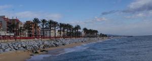 a beach with rocks and palm trees and the ocean at CASA la PAU in Vilassar de Mar