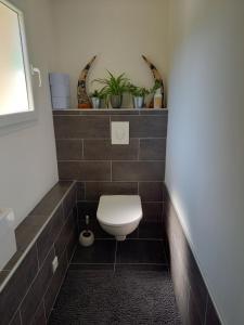 łazienka z toaletą i roślinami w obiekcie logement indépendant w mieście Tour-en-Sologne