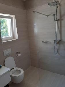 un baño con ducha y WC en Apartmani Benjamin, en Bibinje 57 fotos más