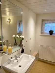 Koupelna v ubytování Ferienwohnung Stargardt in Bad Münder 6 Personen Soutterain