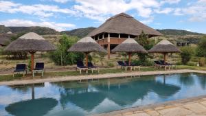 un complejo con una piscina con sillas y sombrillas en Africa Safari Lake Natron Camping, en Mtowabaga