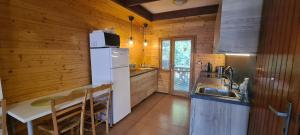 a kitchen with a white refrigerator and a sink at Chata Lučina in Horní Soběšovice