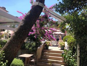 Zahrada ubytování Ascot Hotel Büyükada